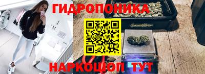 прущие грибы Краснознаменск