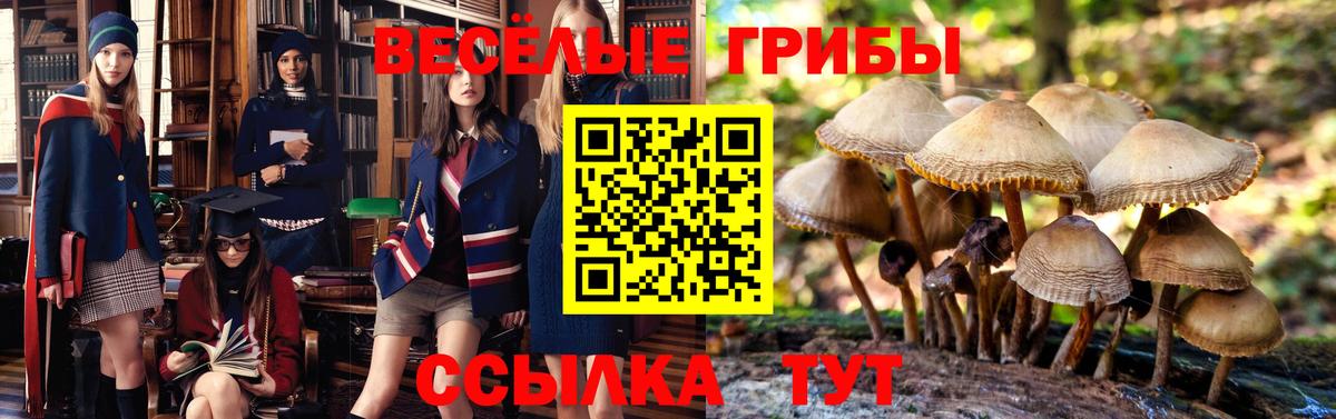 Псилоцибиновые грибы мицелий  Вход с VPN  Якутск 
