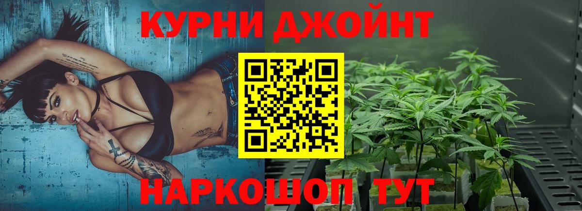 Шишки марихуана план  Бошки марихуана OG Kush  Вход с VPN  Канабис VHQ  Якутск  Конопля конопля 